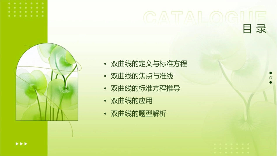 高考理科数学一轮复习双曲线课件_第2页