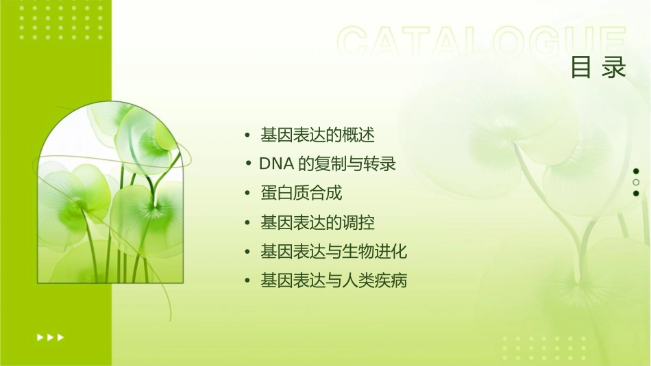 高三生物一轮复习基因表达课件_第2页