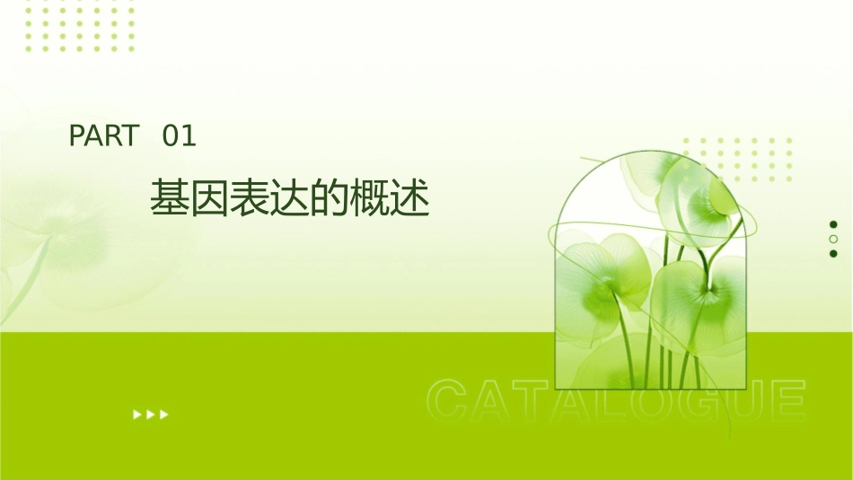 高三生物一轮复习基因表达课件_第3页