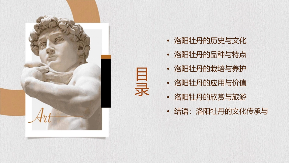 洛阳牡丹雍容华贵国色天香富丽堂皇课件_第2页