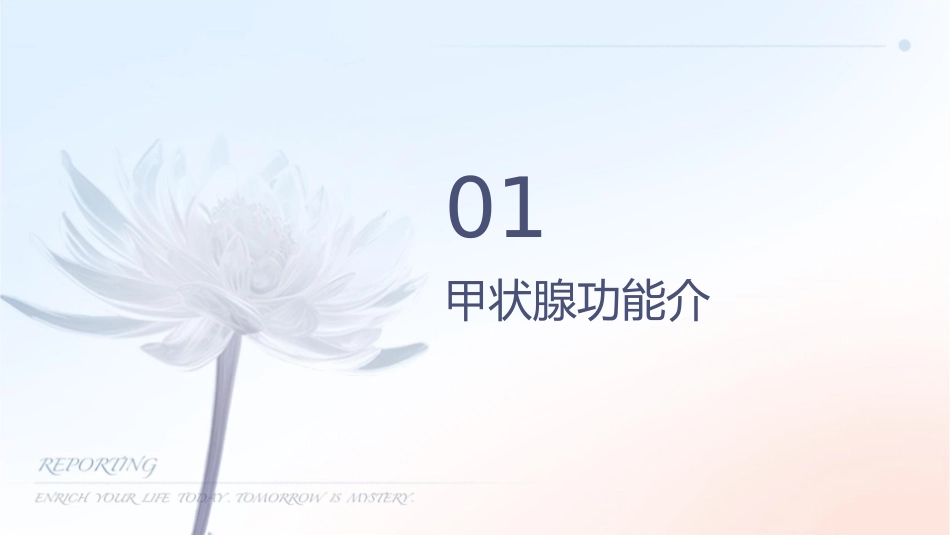 甲状腺功能各项检查正常值和意义通用课件_第3页