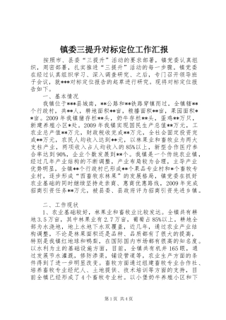 镇委三提升对标定位工作汇报