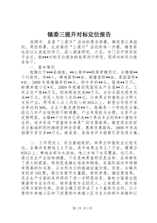 镇委三提升对标定位报告