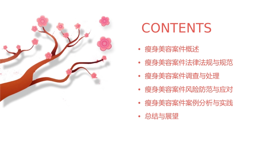 瘦身美容案件规范课件_第2页