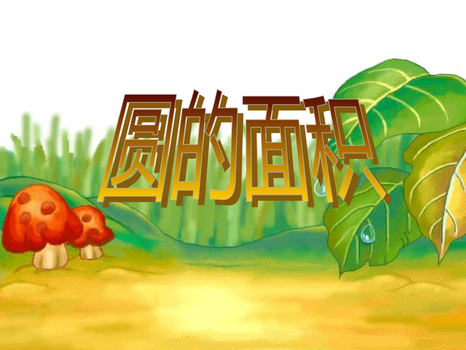 圆的面积 (2)_第1页