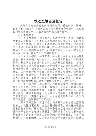 镇吃空饷自查报告