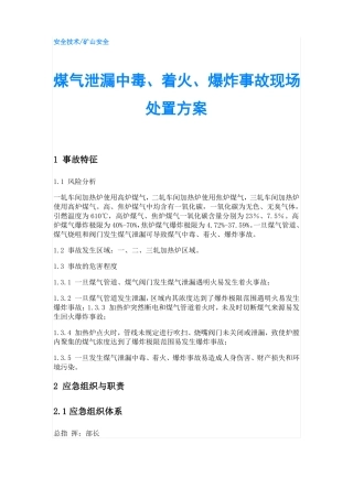 煤气泄漏中毒着火爆炸事故现场处置方案