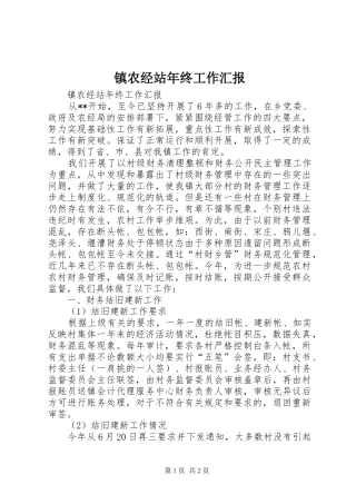 镇农经站年终工作汇报