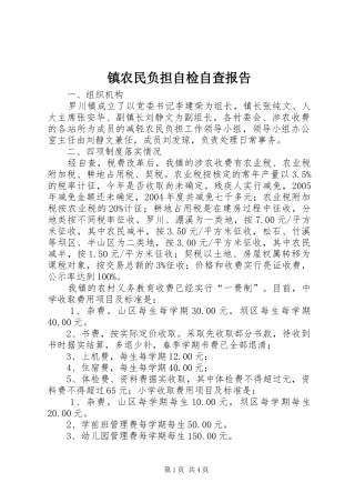 镇农民负担自检自查报告