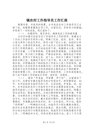 镇农村工作指导员工作汇报