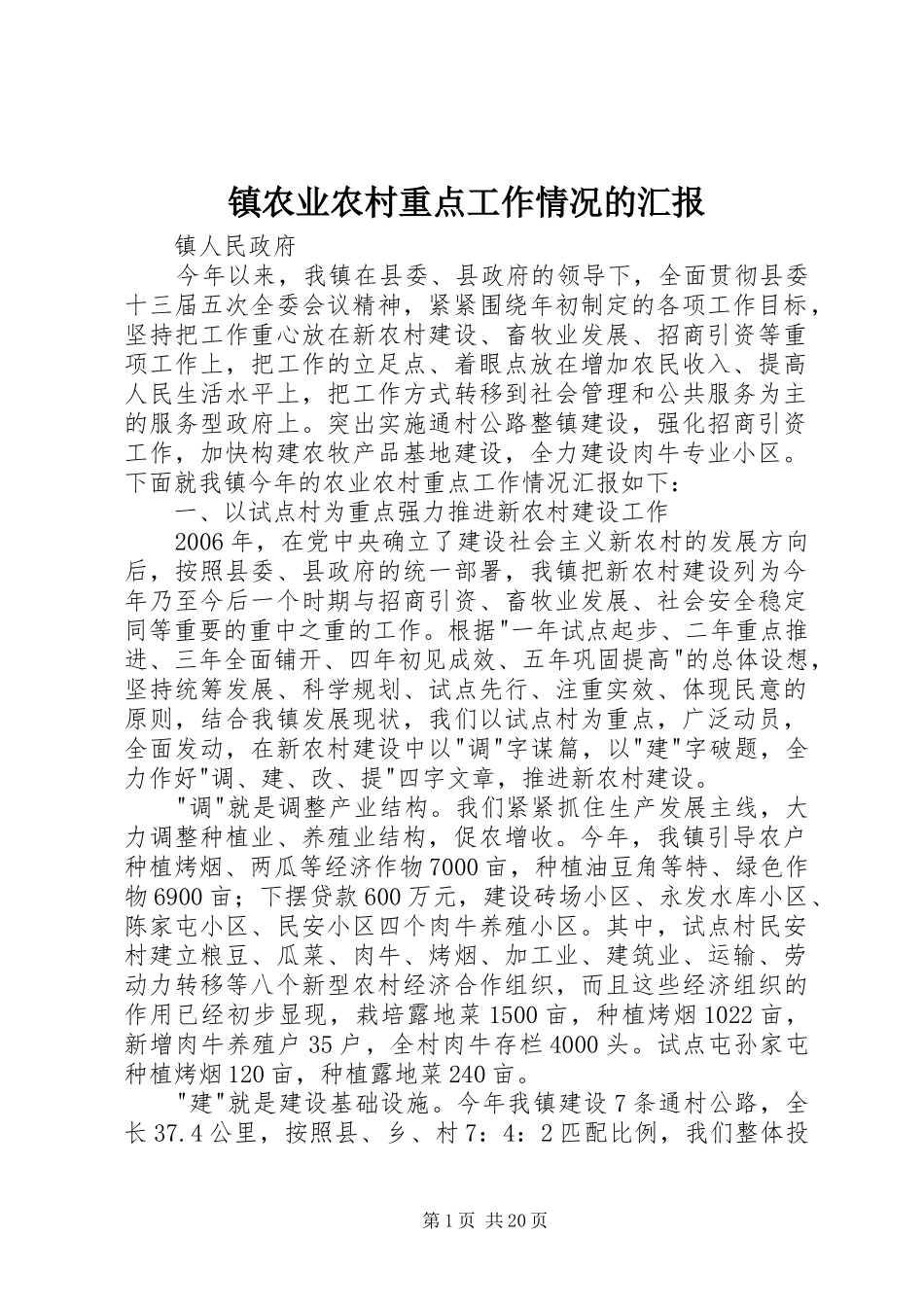 镇农业农村重点工作情况的汇报_第1页
