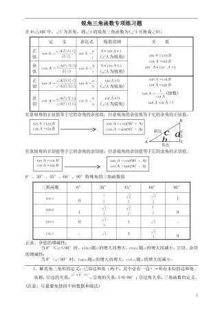 锐角三角函数专项练习题