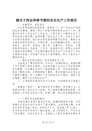 镇关于两会和春节期间安全生产工作报告