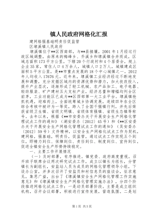 镇人民政府网格化汇报