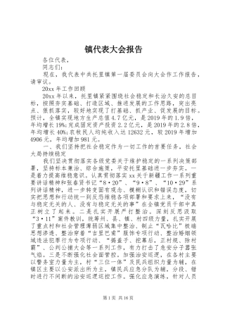 镇代表大会报告