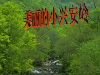 美丽的小兴安岭PPT课件