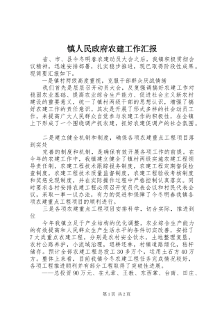 镇人民政府农建工作汇报