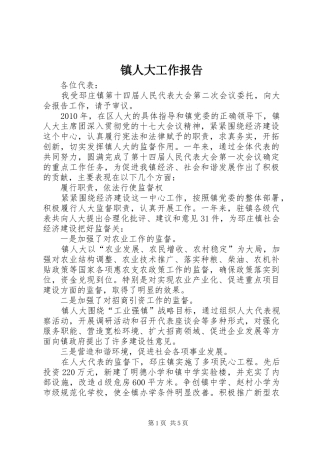 镇人大工作报告