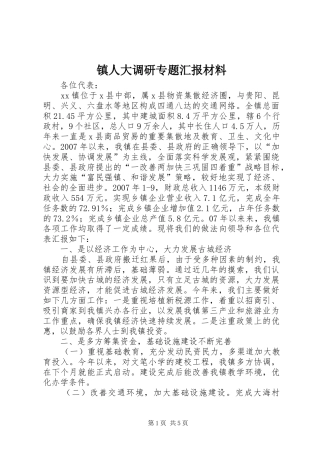 镇人大调研专题汇报材料
