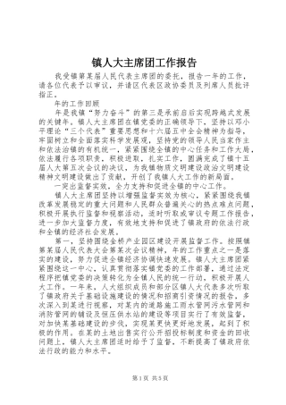 镇人大主席团工作报告 (17)