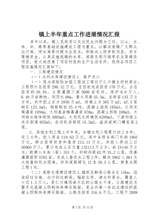 镇上半年重点工作进展情况汇报