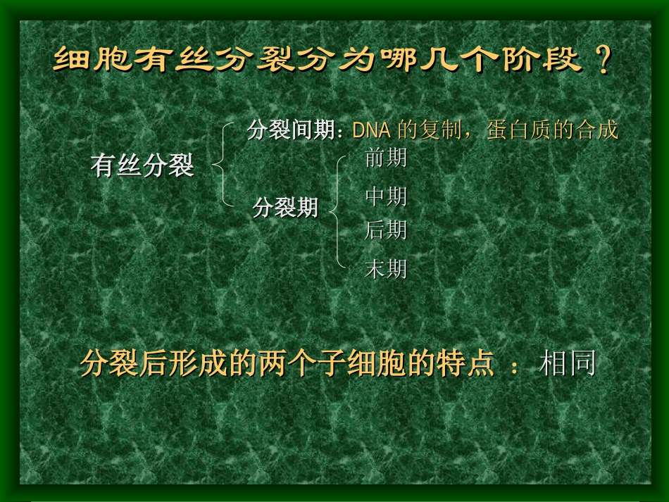 细胞的分化、癌变和衰老_第2页
