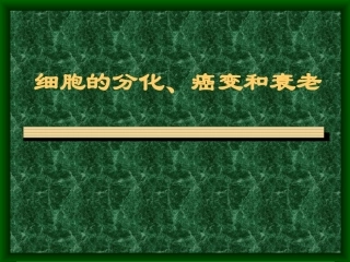 细胞的分化、癌变和衰老