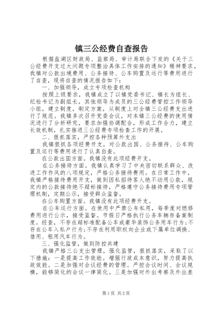 镇三公经费自查报告
