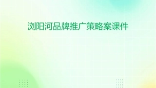 浏阳河品牌推广策略案课件