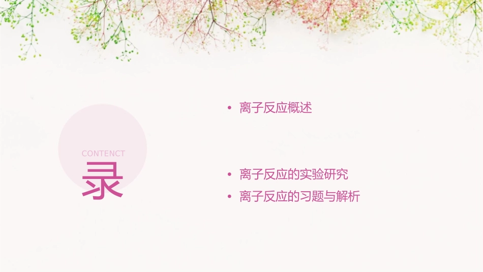 离子反应保志明课件_第2页