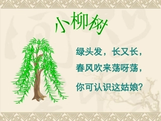 《小柳树和小枣树》课件 (2)