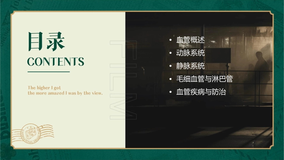 血管结构与组成组图课件_第2页