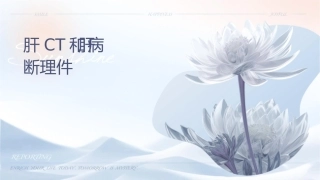 肝脏CT检查和肝脏病变诊断护理课件