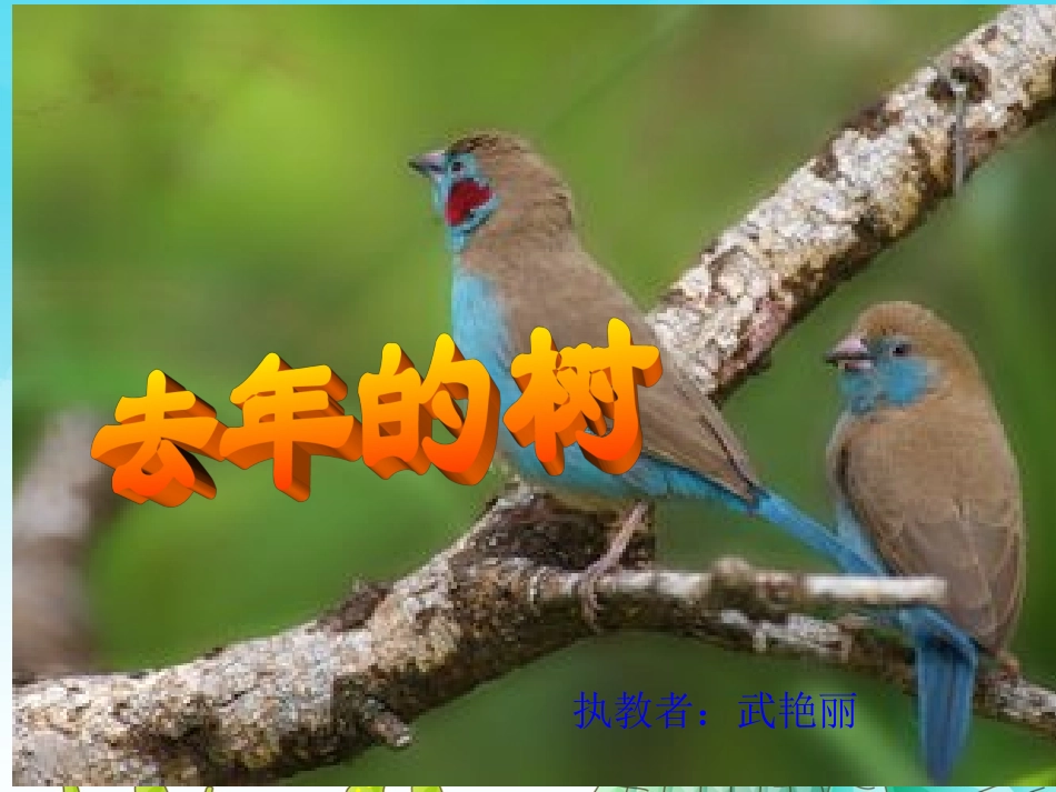 去年的树 (5)_第1页