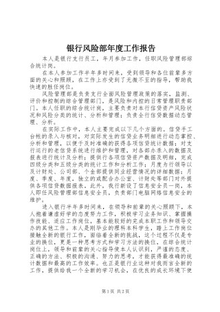 银行风险部年度工作报告