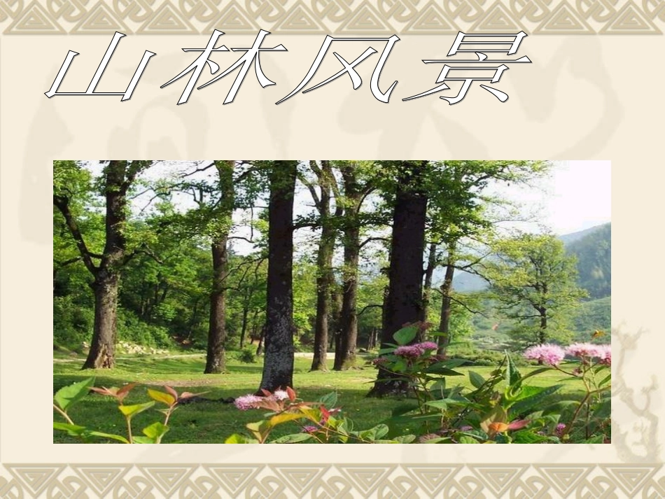 《春光染绿我们双脚》PPT课件_第3页