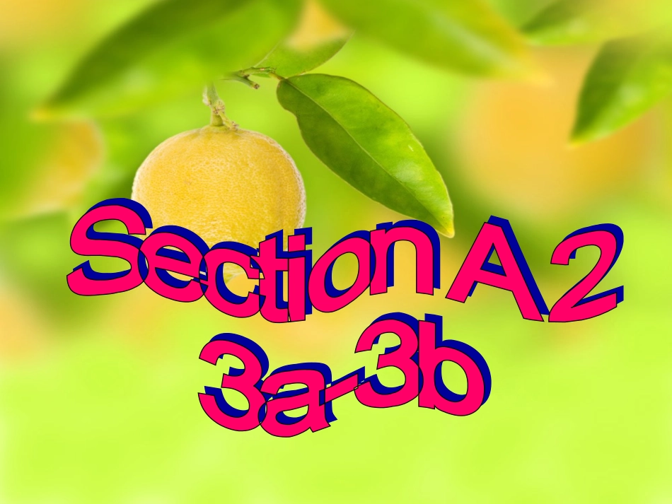 九年级英语Unit3SectionA2_第3页