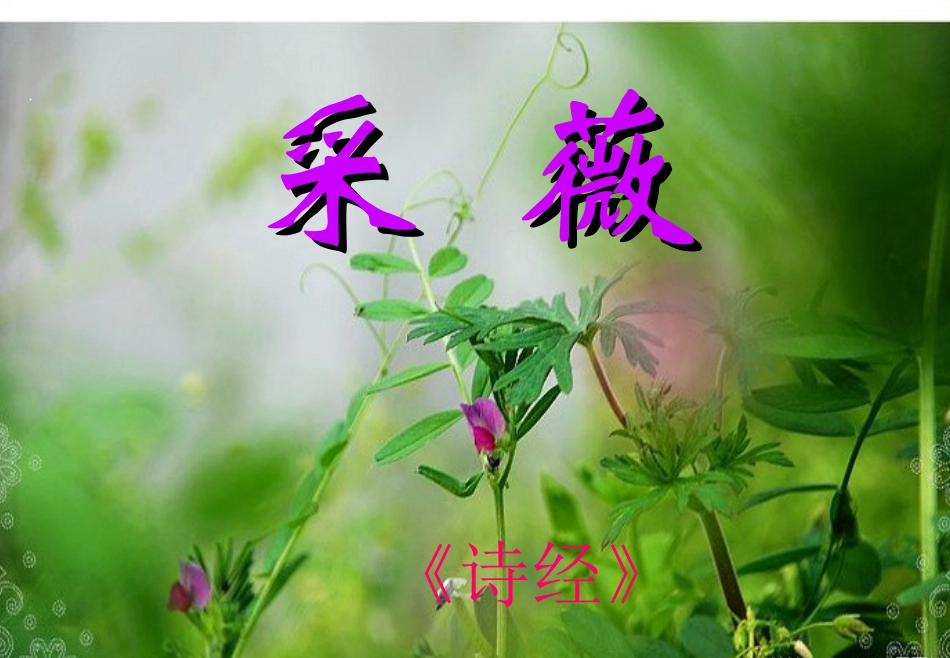 《采薇》课件_第2页