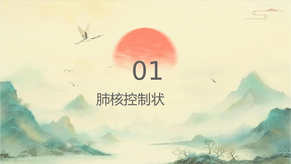 肺结核控制现状及病人健康管理服务规范护理课件_第3页