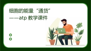 细胞的能量“通货”——ATP教学课件