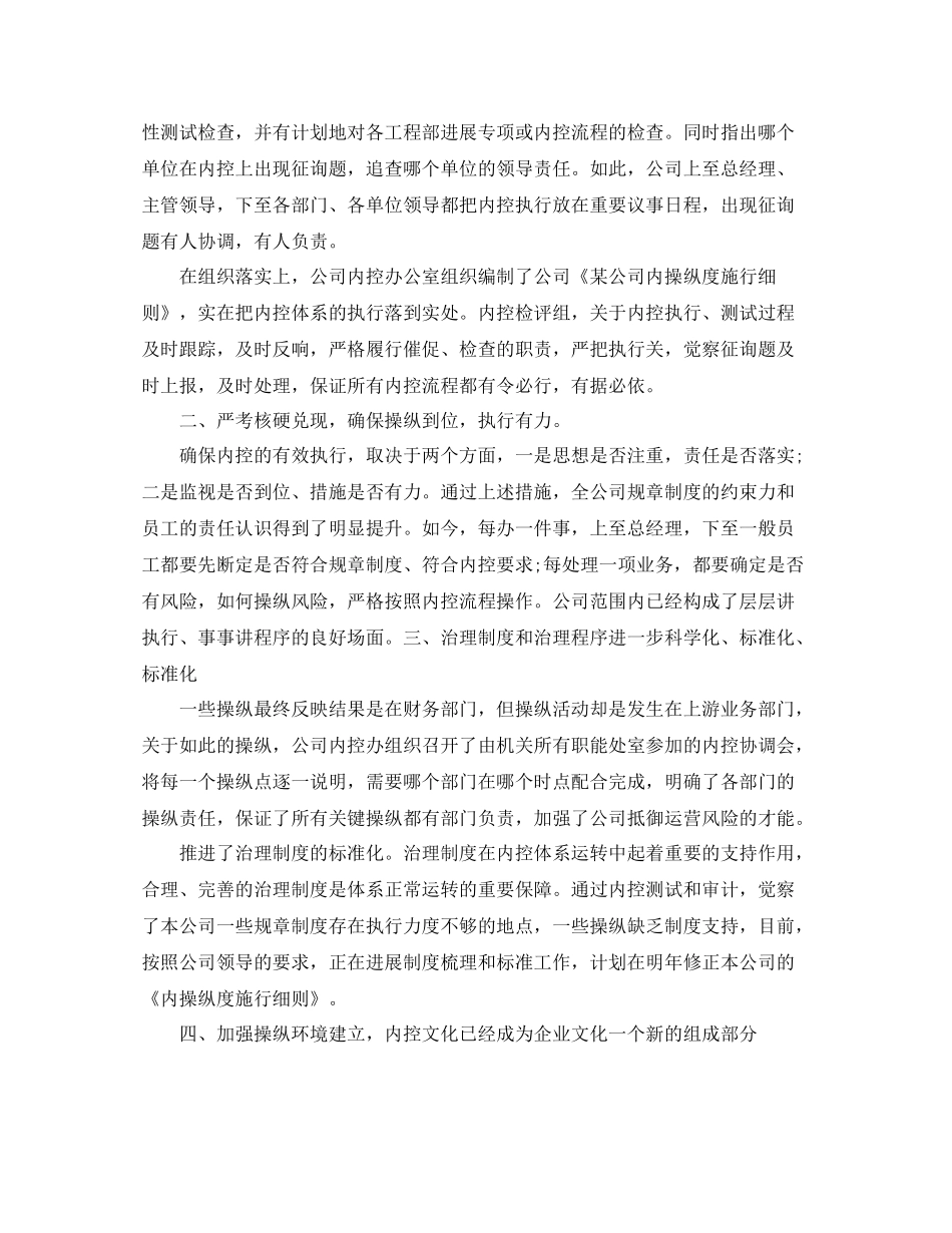 2021年工作参考总结公司内部控制工作参考总结_第2页