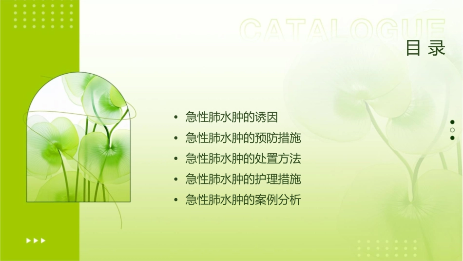 输液并发症急性肺水肿处置附件课件_第2页