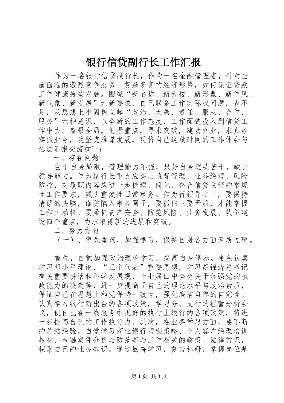 银行信贷副行长工作汇报_第1页