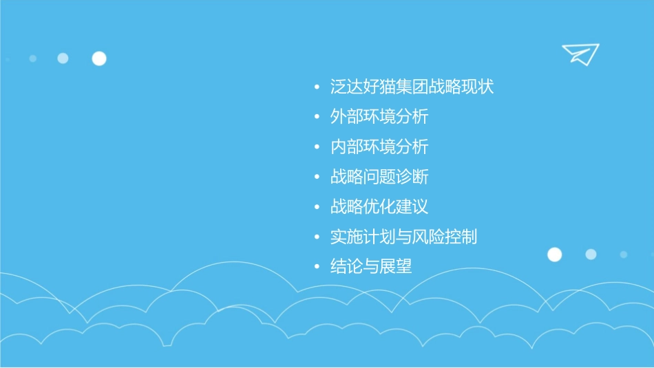 泛达好猫集团战略诊断报告课件_第2页