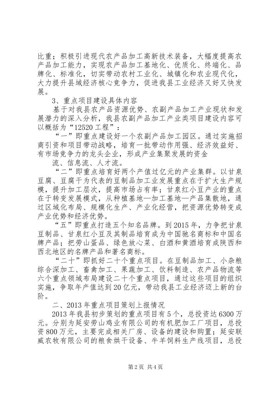 重点项目策划工作汇报_第2页