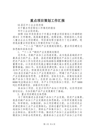 重点项目策划工作汇报