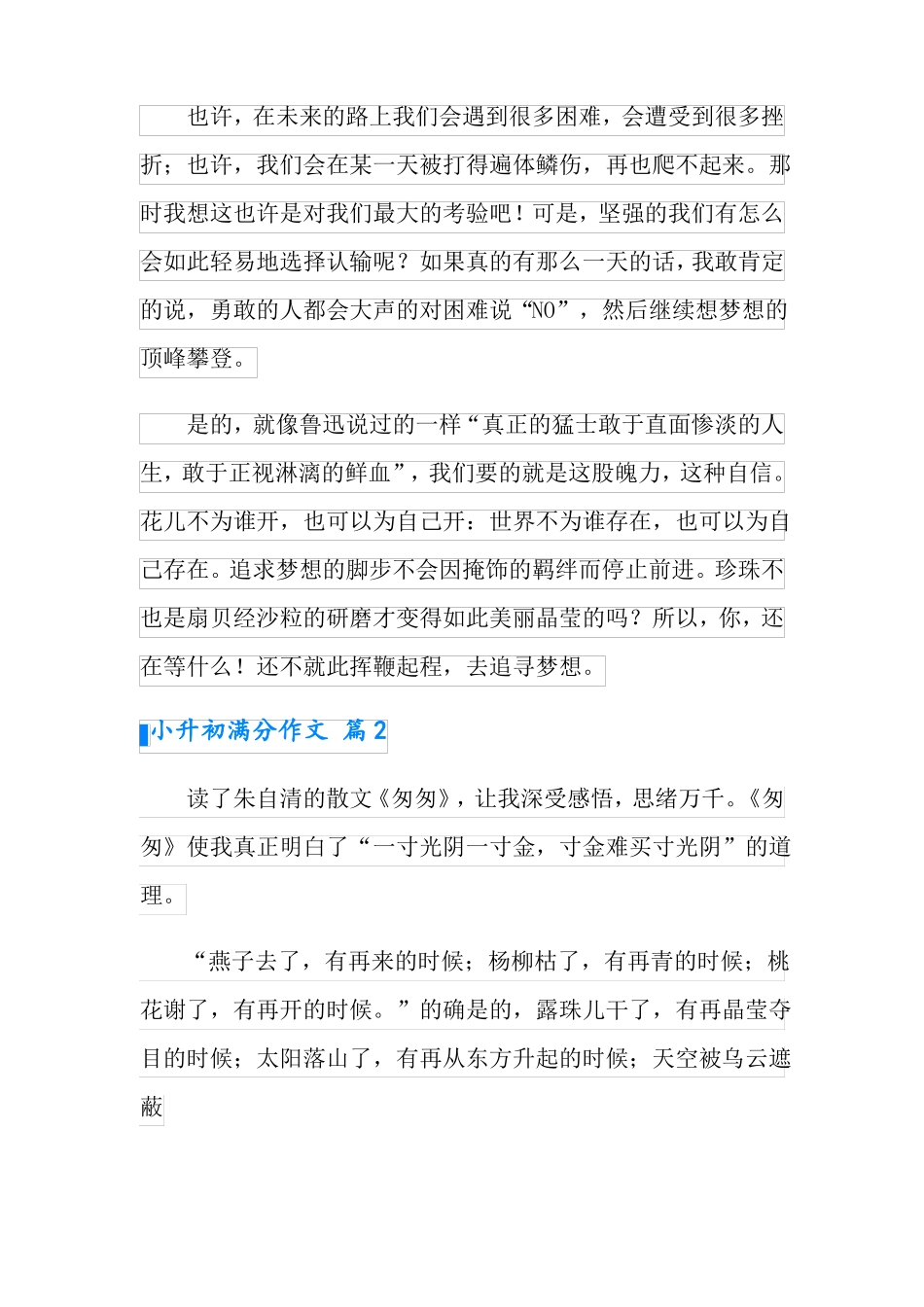 可编辑2022小升初满分作文集锦8篇_第2页