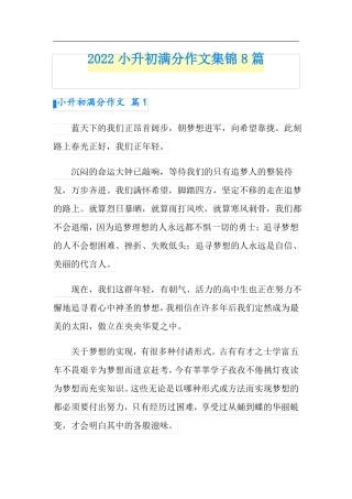 可编辑2022小升初满分作文集锦8篇