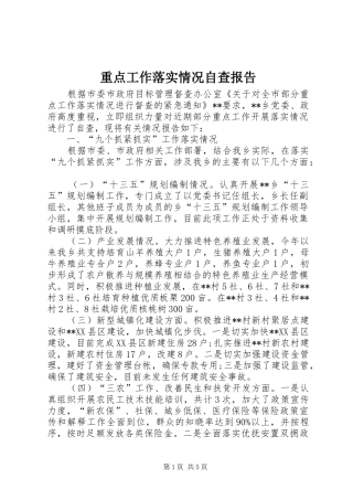 重点工作落实情况自查报告