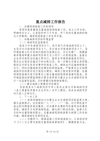 重点减排工作报告